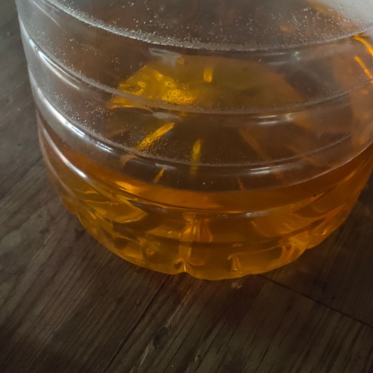 隆林县 自产山茶油