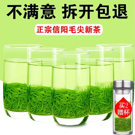 信阳信阳毛尖 买茶送杯子，送大枣
