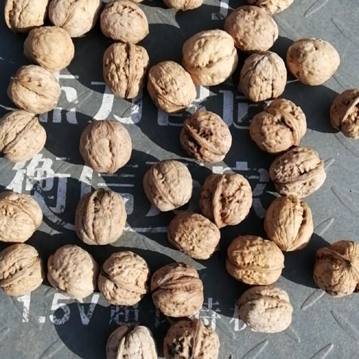 白水县新疆新2薄皮核桃 26~30mm 去皮 散装
