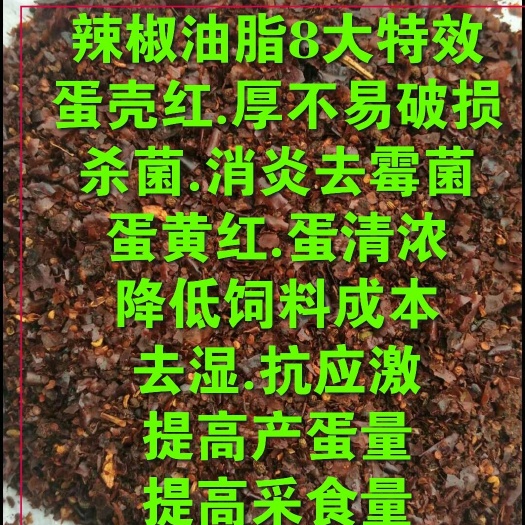 莒县辣椒油渣 蛋禽专用，高能量.高蛋白.提高采食量.增加产蛋率。