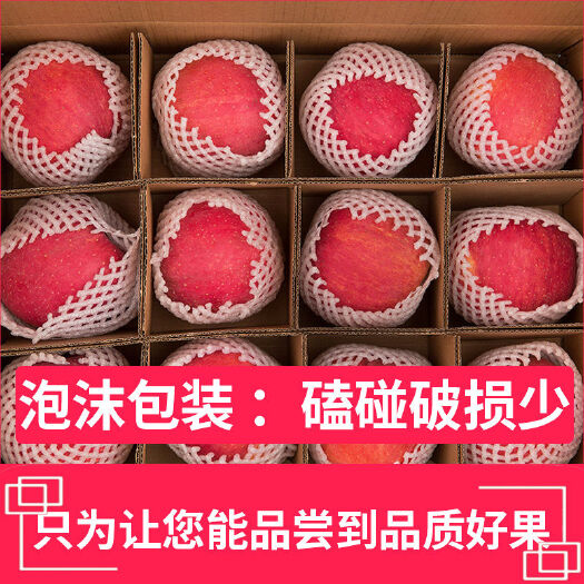 冰糖心苹果 【洛川红富士】新果陕西冰糖心红富士甜心10斤批发