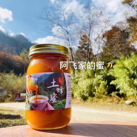 苍溪县 阿飞家天然高山土蜂蜜一斤装包邮