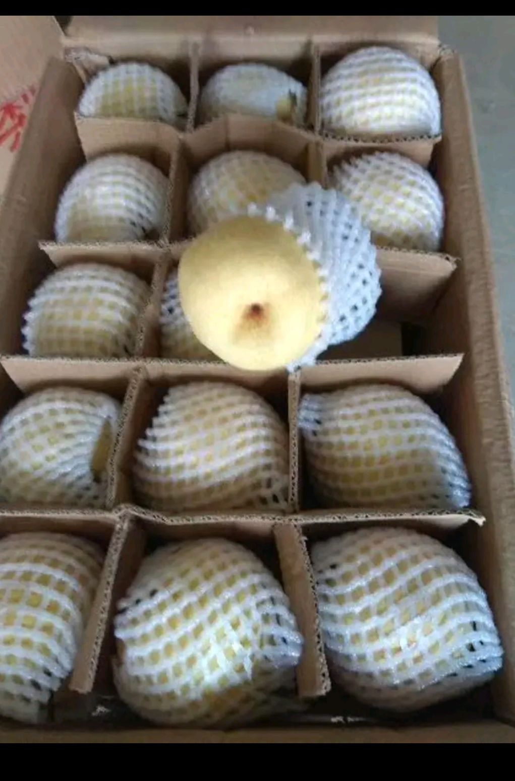 ，梨！脆甜多汁！货好！量大！交通方便！欢迎老板来