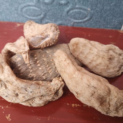 宁强县 红天麻，干天麻