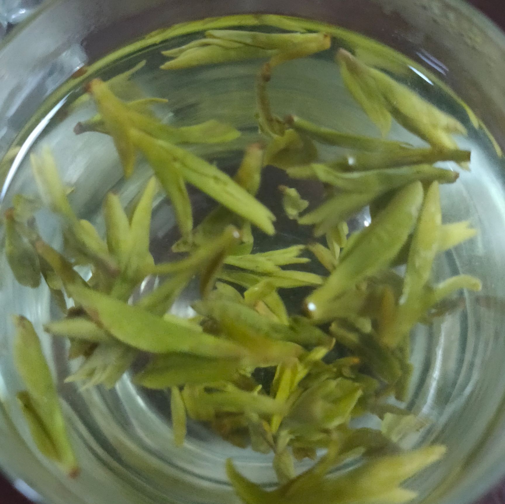 龙井茶  杭州钱塘龙井，茶，产地茶农直销，初级农