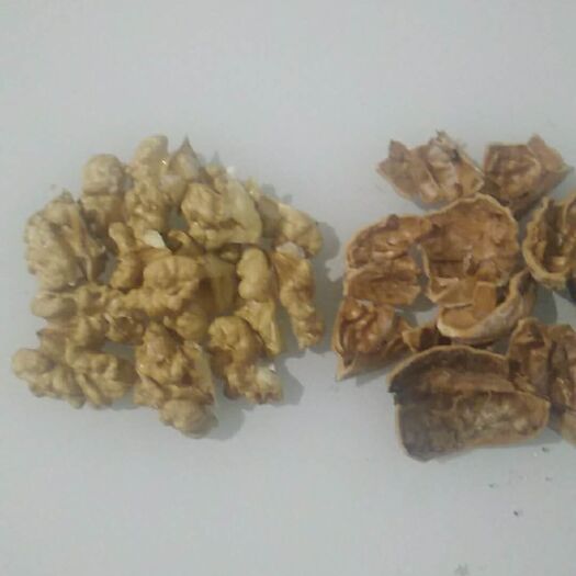 蒙阴县 核桃