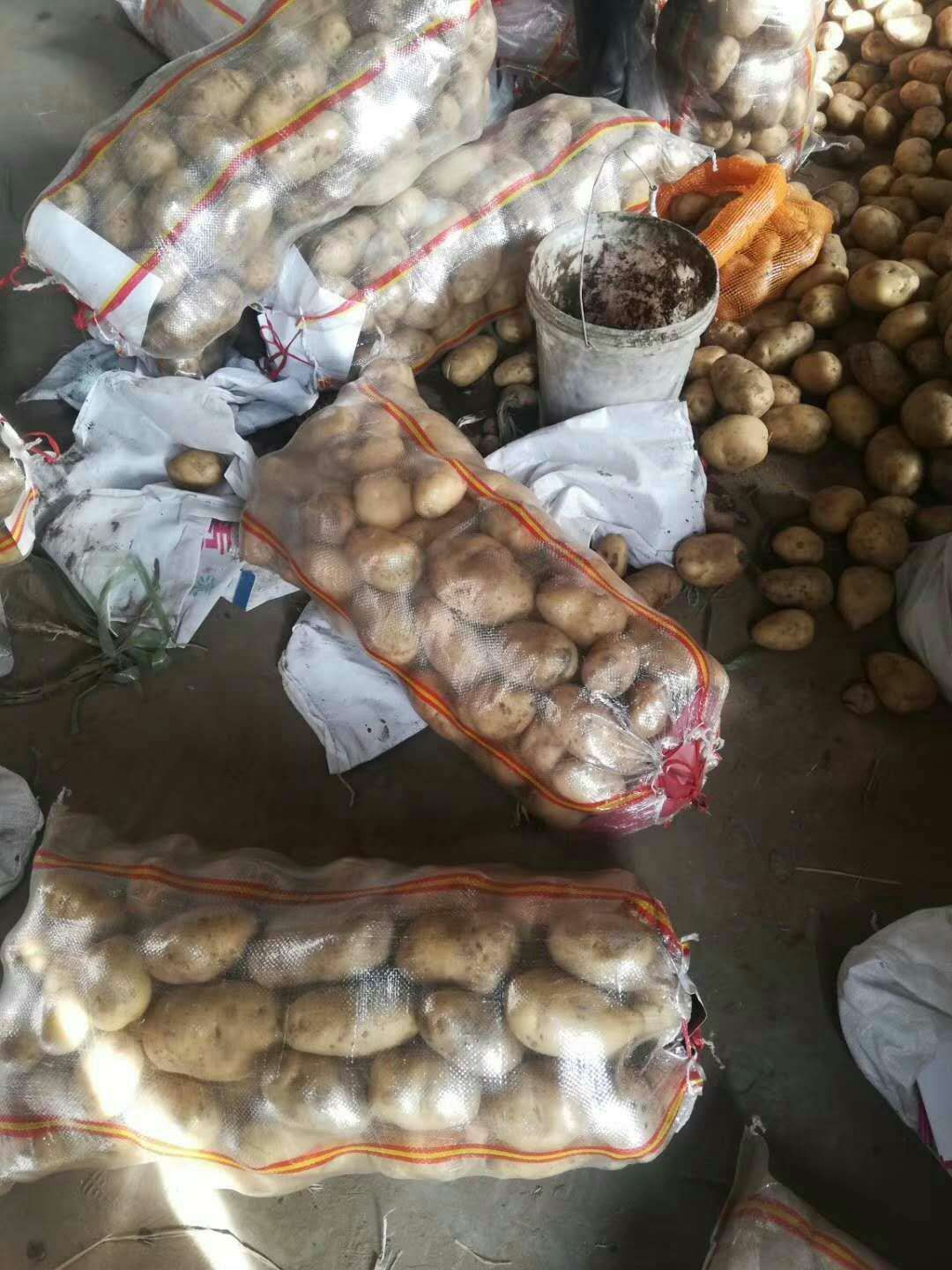 226土豆 226白心翻包码面，货没问题