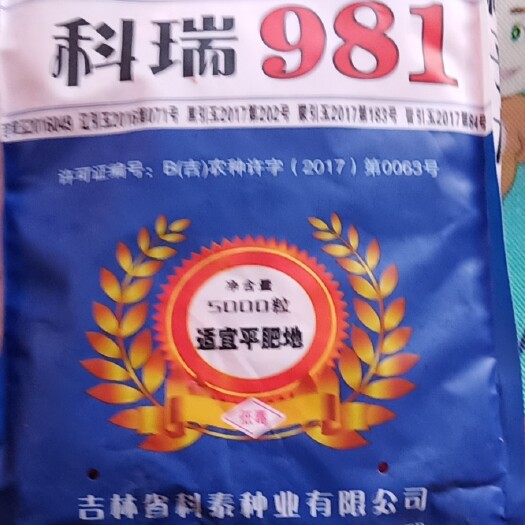 青县迪卡159玉米种子 科瑞981     最多28 行