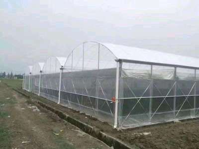 天津种植大棚 连栋温室大棚，节省种植空间，采光性能好，日常好搭理