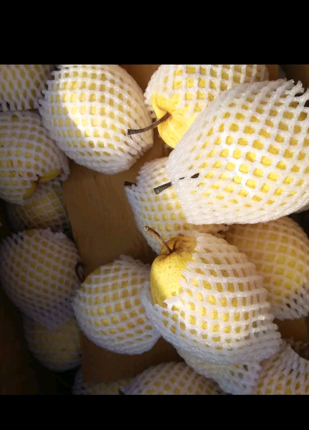 ，梨！脆甜多汁！货好！量大！交通方便！欢迎老板来