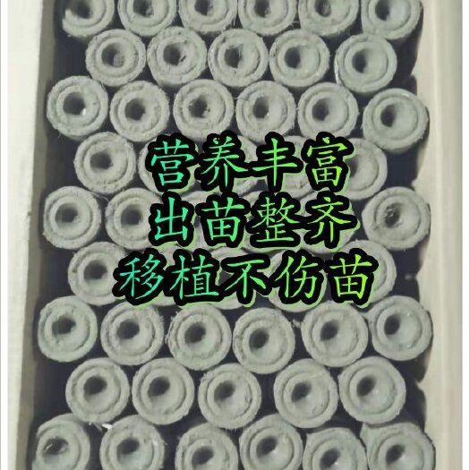 长春育苗基质 营养土块，育苗块，有机营养块。