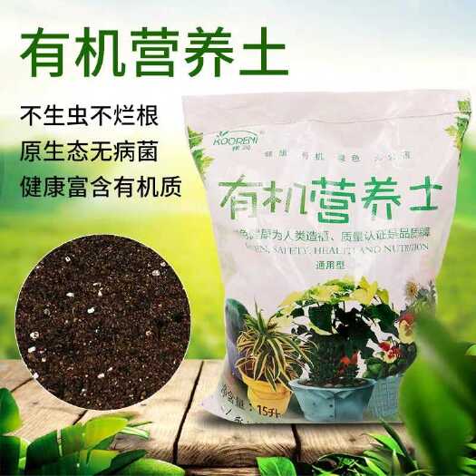 社旗县有机营养土花卉基地绿化工程专用观叶观花观茎观根多肉仙人掌类