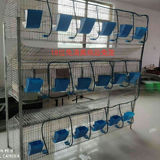 蠡县18位免清粪商品兔笼塑料底板加密加粗全套