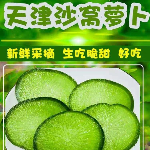 天津青萝卜  天津沙窝水果萝卜，大棚直采，现拔现发。