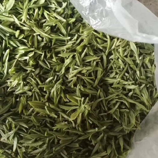 筠连县 龙井茶厂方直销