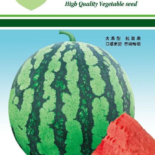 美都西瓜种子