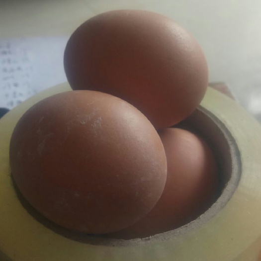 莱阳市 土鸡蛋山养柴鸡蛋