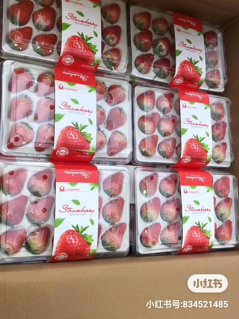  丹东东港特产九九草莓 一箱36盒