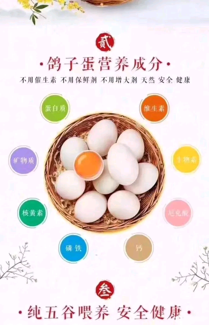 鸽子蛋  农家五谷杂粮喂养鲜鸽蛋、快递包邮，欢迎进店选购