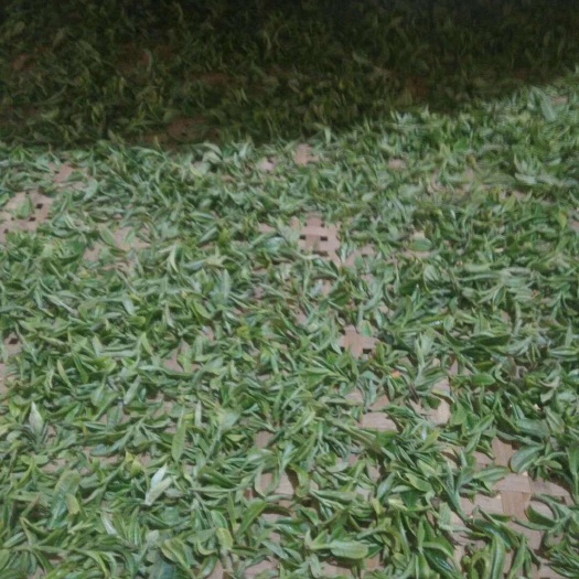 宜良县茶青 特级 盒装