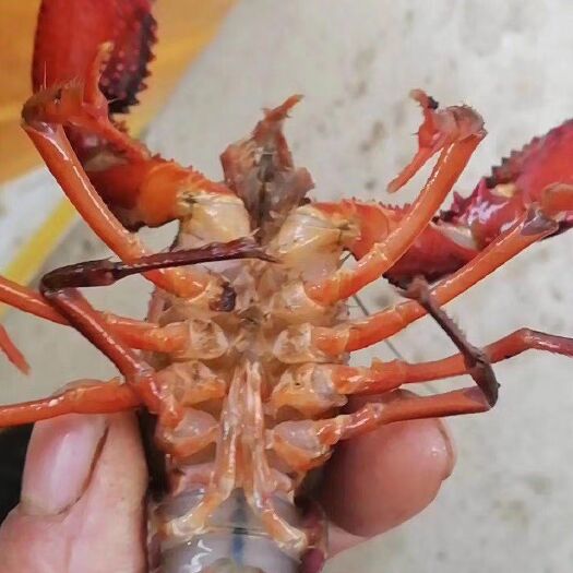 成都 小龙虾
