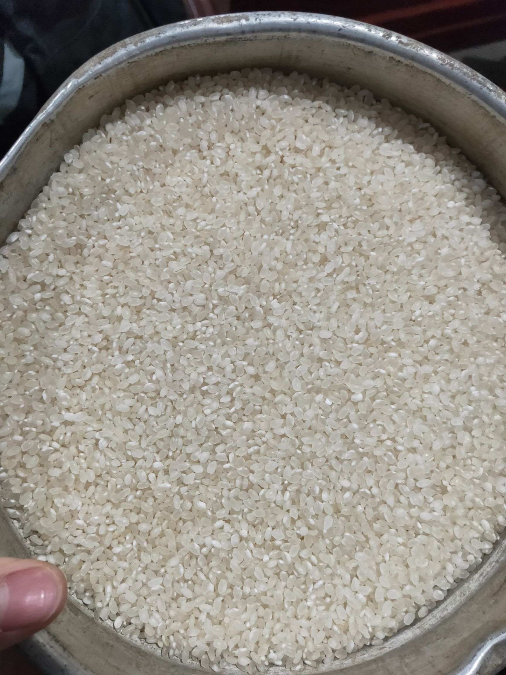  苏北大米普粳，需要的老板可咨询，量大价格可以谈
