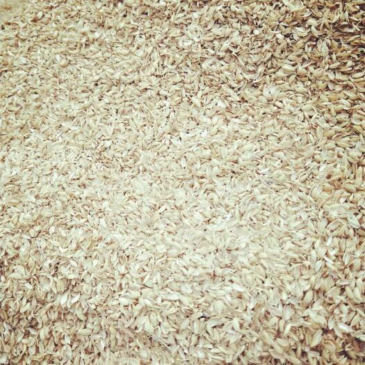 蚌埠稻壳 皮薄蓬松分量轻，干燥除尘没杂质！