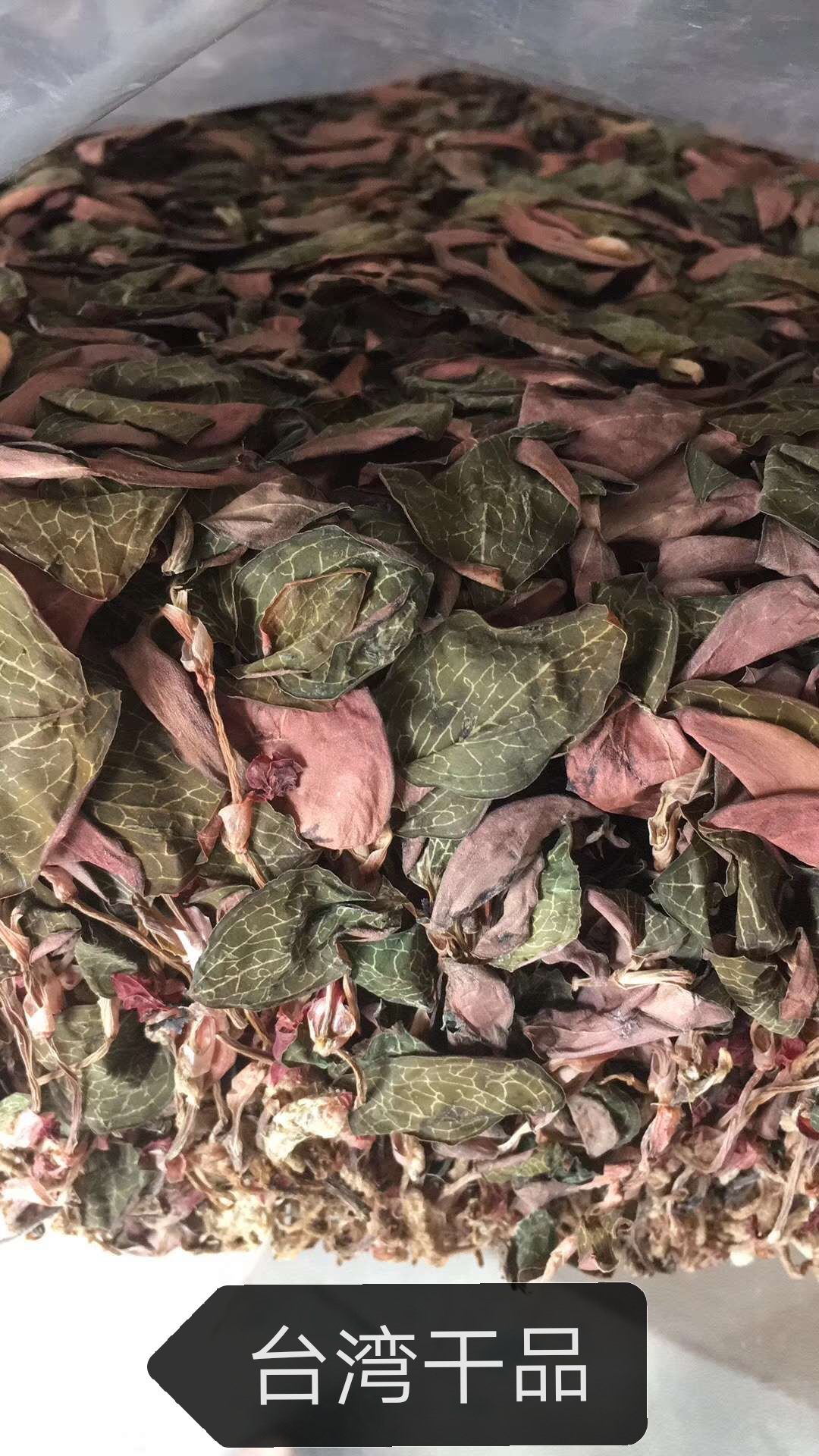 金线莲干品