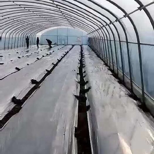 沭阳县大棚管 椭圆管种植，养殖棚