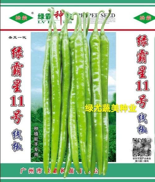 南靖县线椒种子  黄绿色线椒品种，逆抗性好，果顺直座果集中，丰产。