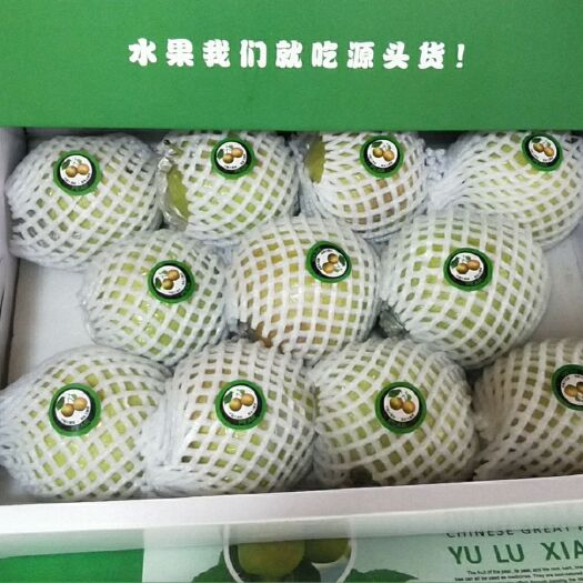临汾玉露香梨 清脆，可口，水分饱满，甜度高，清热解火润肺佳品。