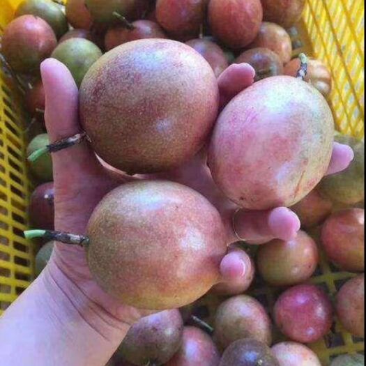 贞丰县 天然百香果，香香甜甜就是她