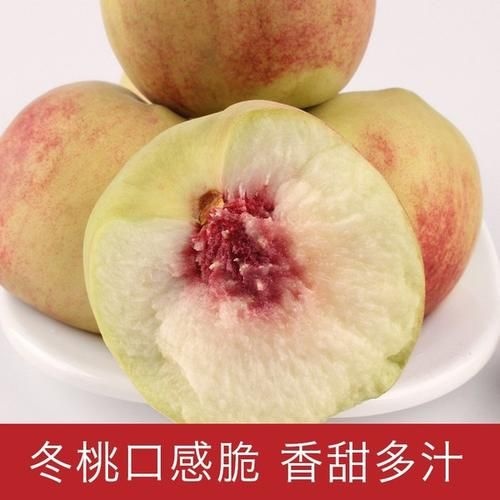 平邑县 脆冬桃苗冬桃树苗极晚熟特大巨型嫁接苗地栽盆栽南方北方当年结