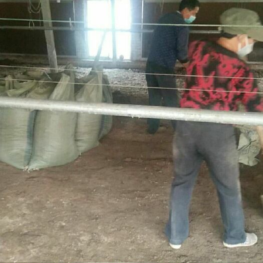 泸西县禽畜粪  无杂物无块状很散很干的谷壳鸡粪，用了不烧苗不烧根产量上得去。