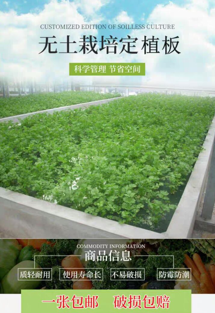 生态浮床 生态水培蔬菜定植浮板厂家直销鱼菜共生无土栽培设备