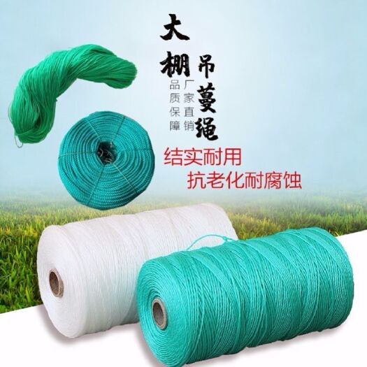 无棣县吊秧绳大棚黄瓜西红柿蔬菜吊绳压膜绳爬藤网拉绳绳子农用尼龙绳