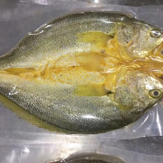 霞浦县 官井海洋黄花鱼味鲜肉嫩刺软营养丰富 小孩吃及营养又放心