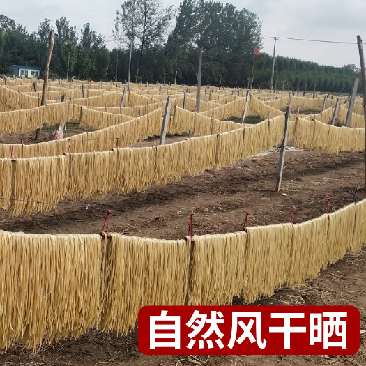 砀山县【安徽砀山】红薯粉条酸辣粉粗粉中粗细粉厂家直销
