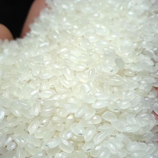 泰州 苏北大米普粳，需要的老板可咨询，量大价格可以谈