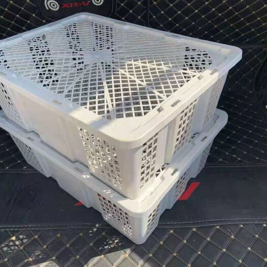 重庆市一次框 一次性塑料筐厂家水果筐蔬菜筐桂圆框白色水果筐一次性筐子质量好