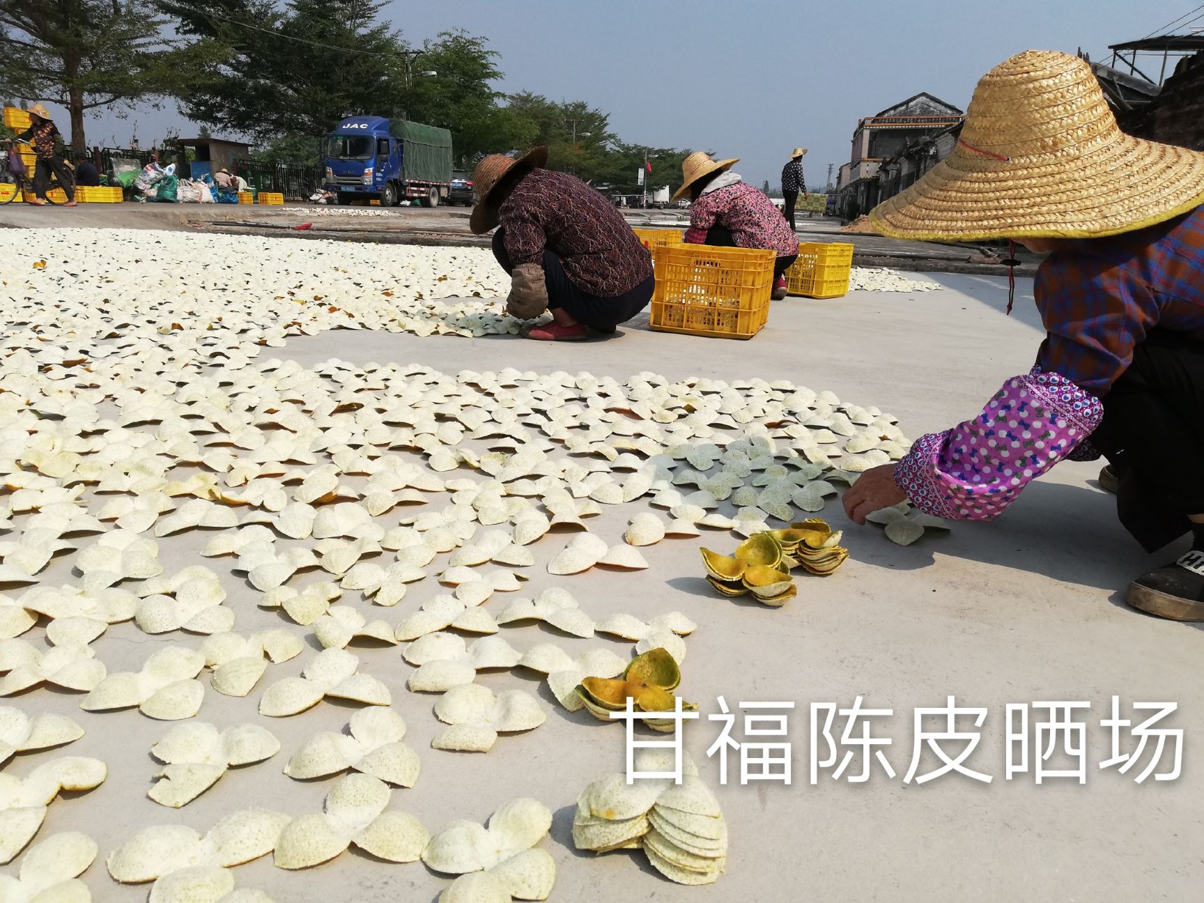 新会 三年陈陈皮青皮