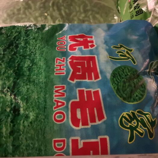 安福县 精品毛豆供应