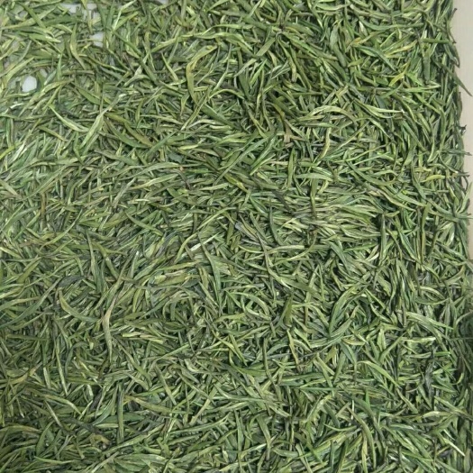 湄潭县 绿茶 炒蒸  — 601