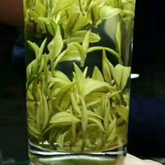 新昌县 绿茶