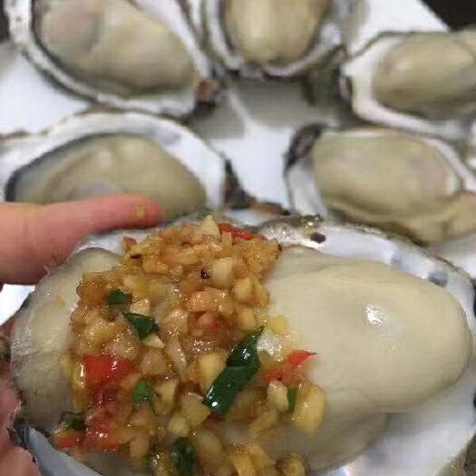 乳山市乳山牡蛎（生蚝）一件代发