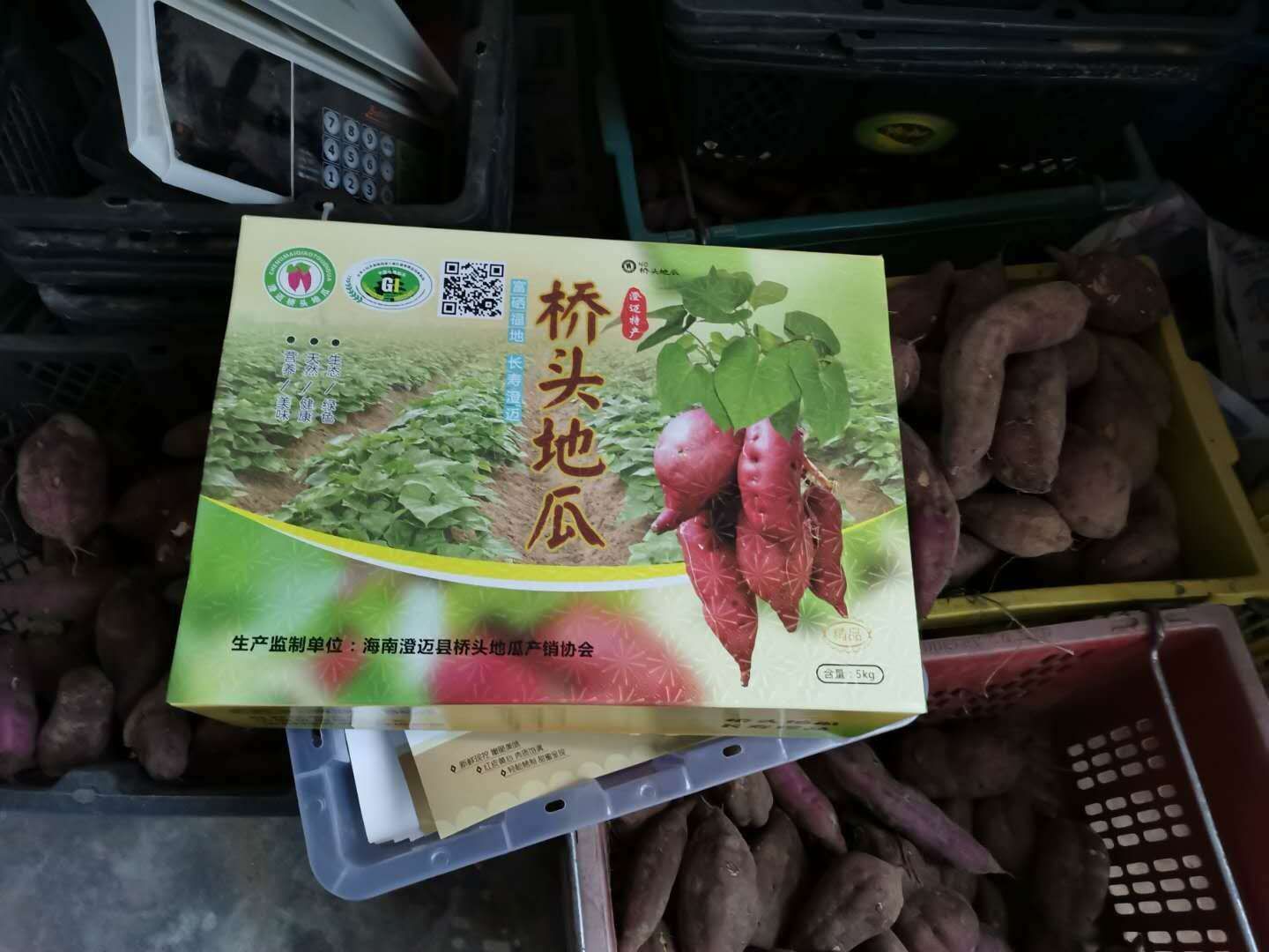 红薯   桥头地瓜香甜可口粉糯无丝一件代发全国运输