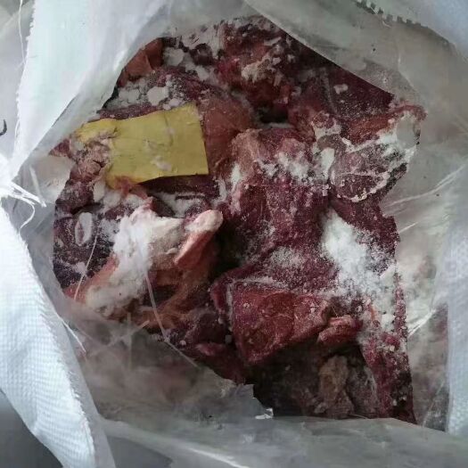 宁津县鲜马肉  3马前腿 脖子实拍照片 颜色好 价格优惠厂家直供