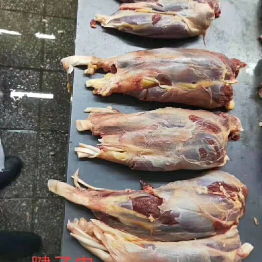 宁津县鲜马肉  马肉腱子肉，现货供应，厂家直供 便宜腱子肉