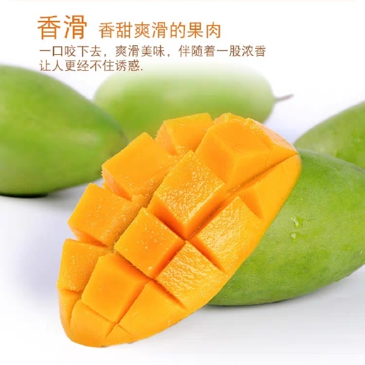 凭祥市 越南玉芒