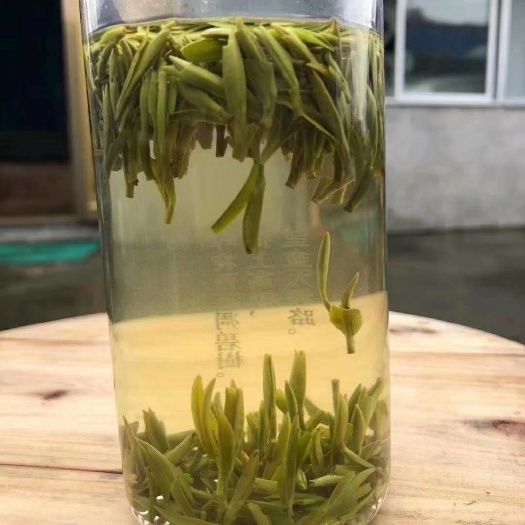 高县龙井茶 今年的龙井，